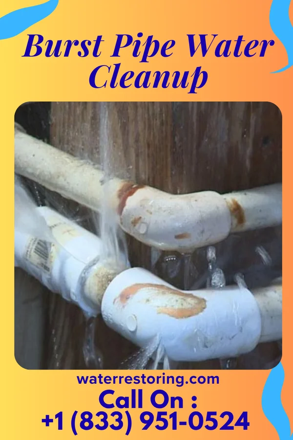 Burst Pipe Water Cleanup in Frisco, PA