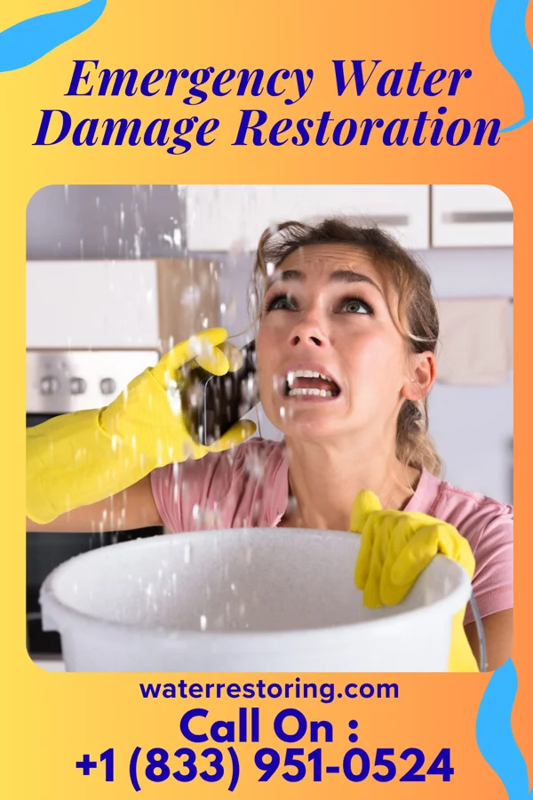 Emergency Water Damage Restoration in Frisco, PA