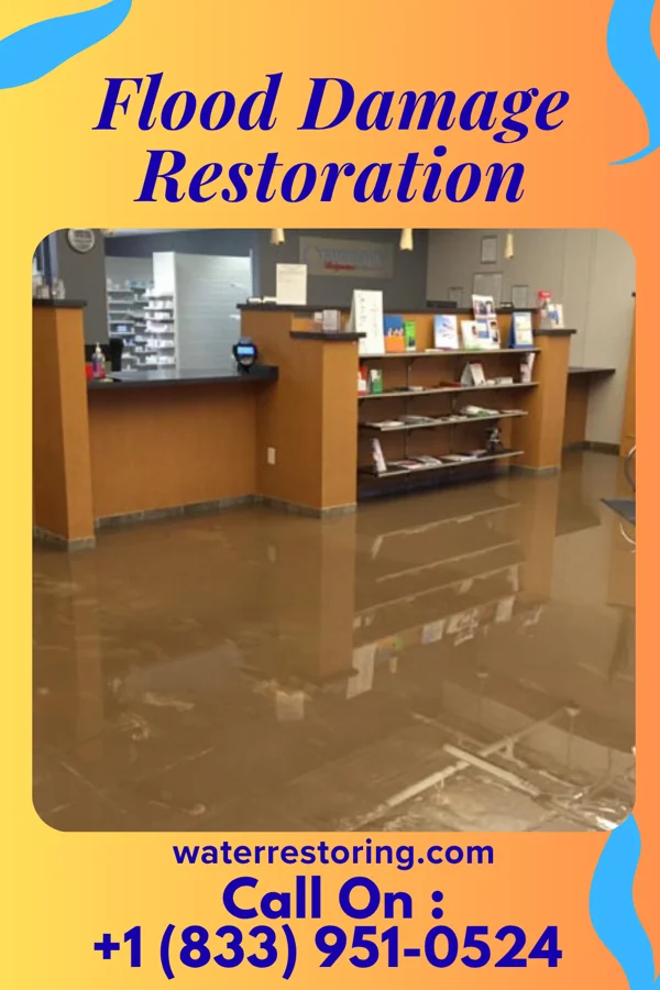 Flood Damage Restoration in Frisco, PA
