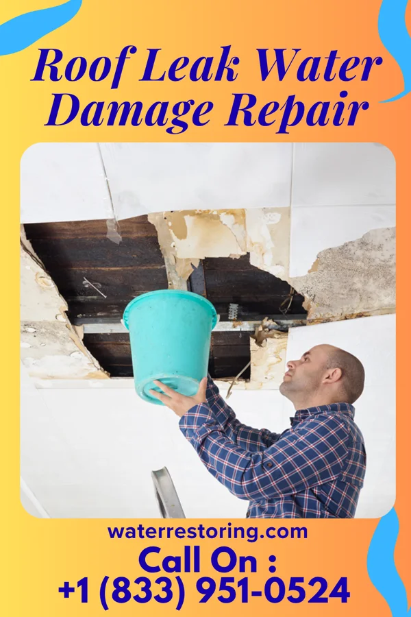 Roof Leak Water Damage Repair in Frisco, PA