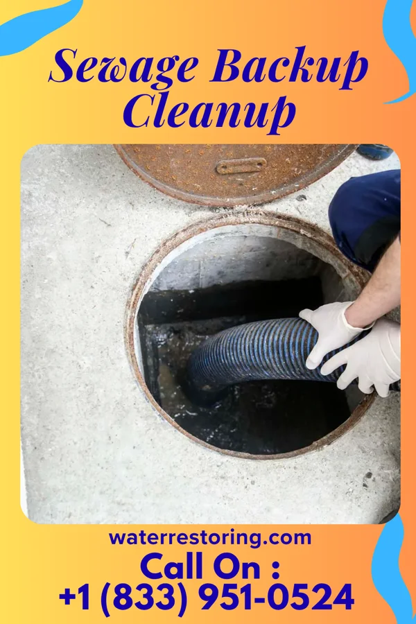 Sewage Backup Cleanup in Frisco, PA