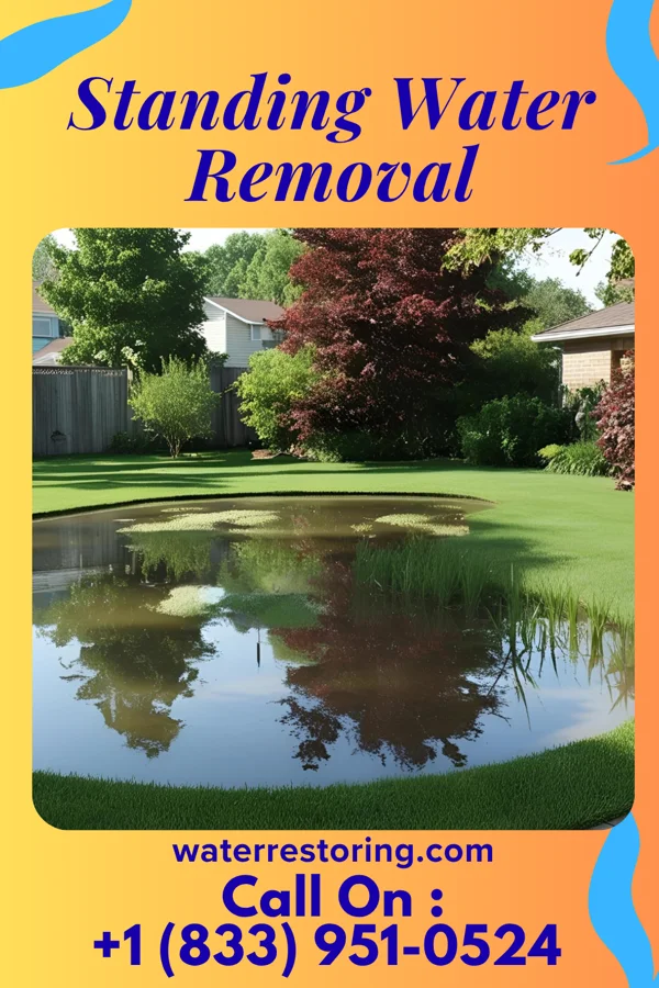 Standing Water Removal in Frisco, PA